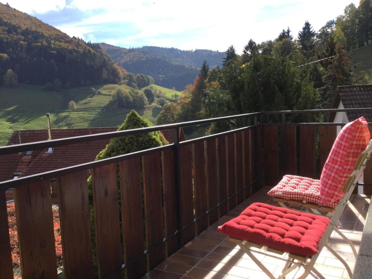 Erikas Haus Apartman Münstertal Kültér fotó