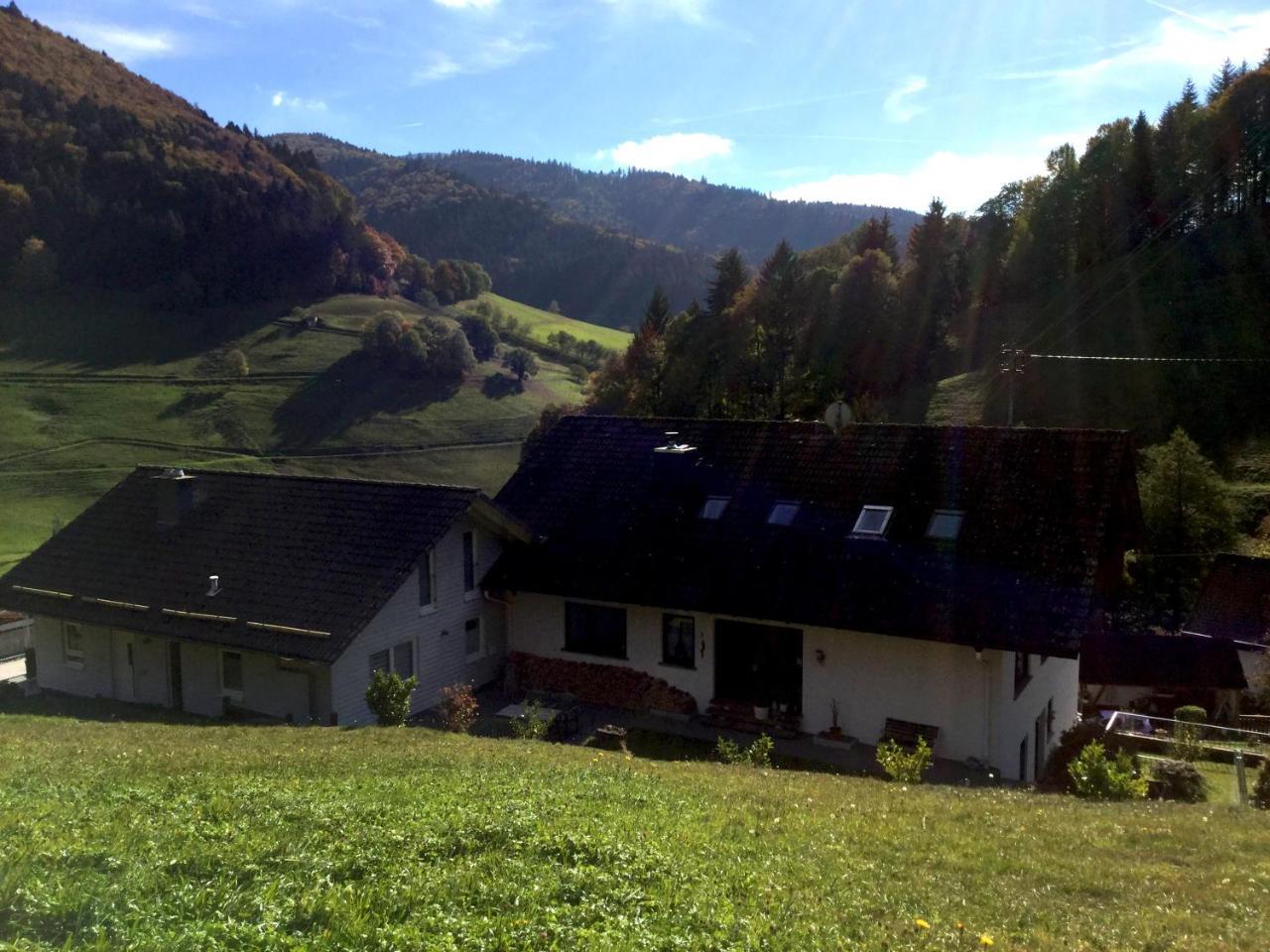 Erikas Haus Apartman Münstertal Kültér fotó