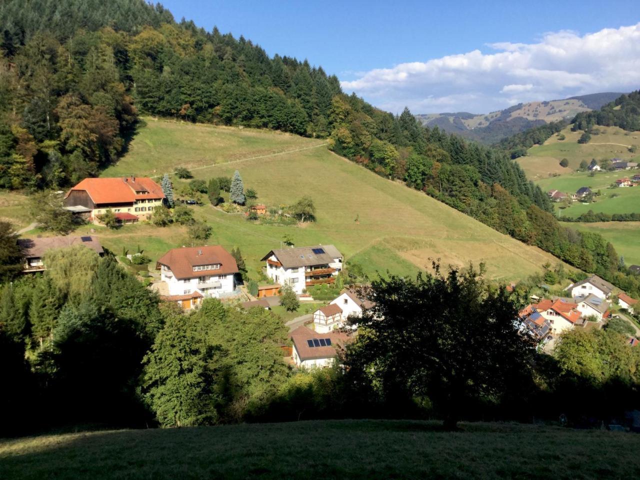 Erikas Haus Apartman Münstertal Kültér fotó