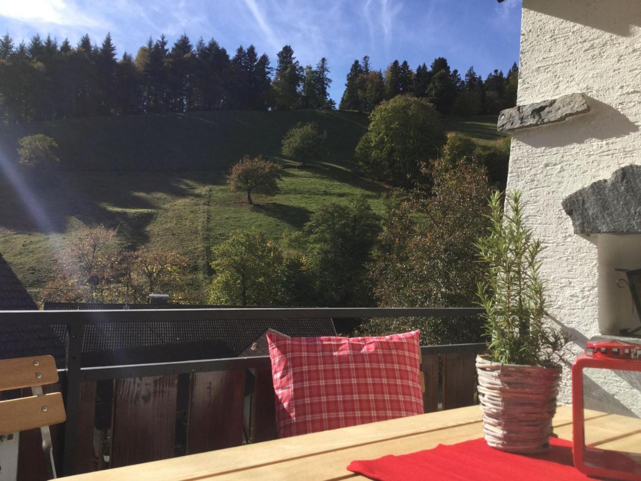 Erikas Haus Apartman Münstertal Kültér fotó