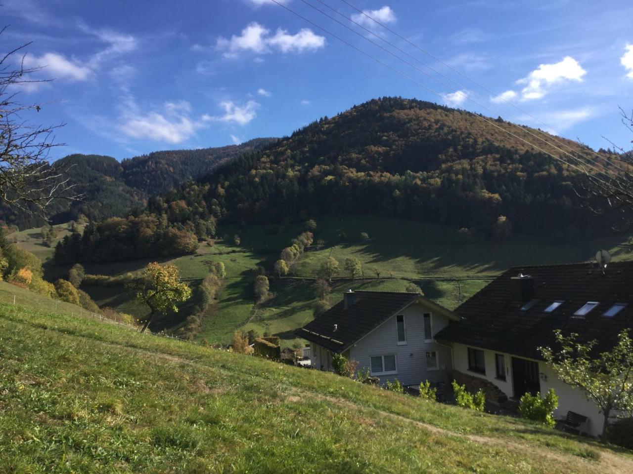 Erikas Haus Apartman Münstertal Kültér fotó
