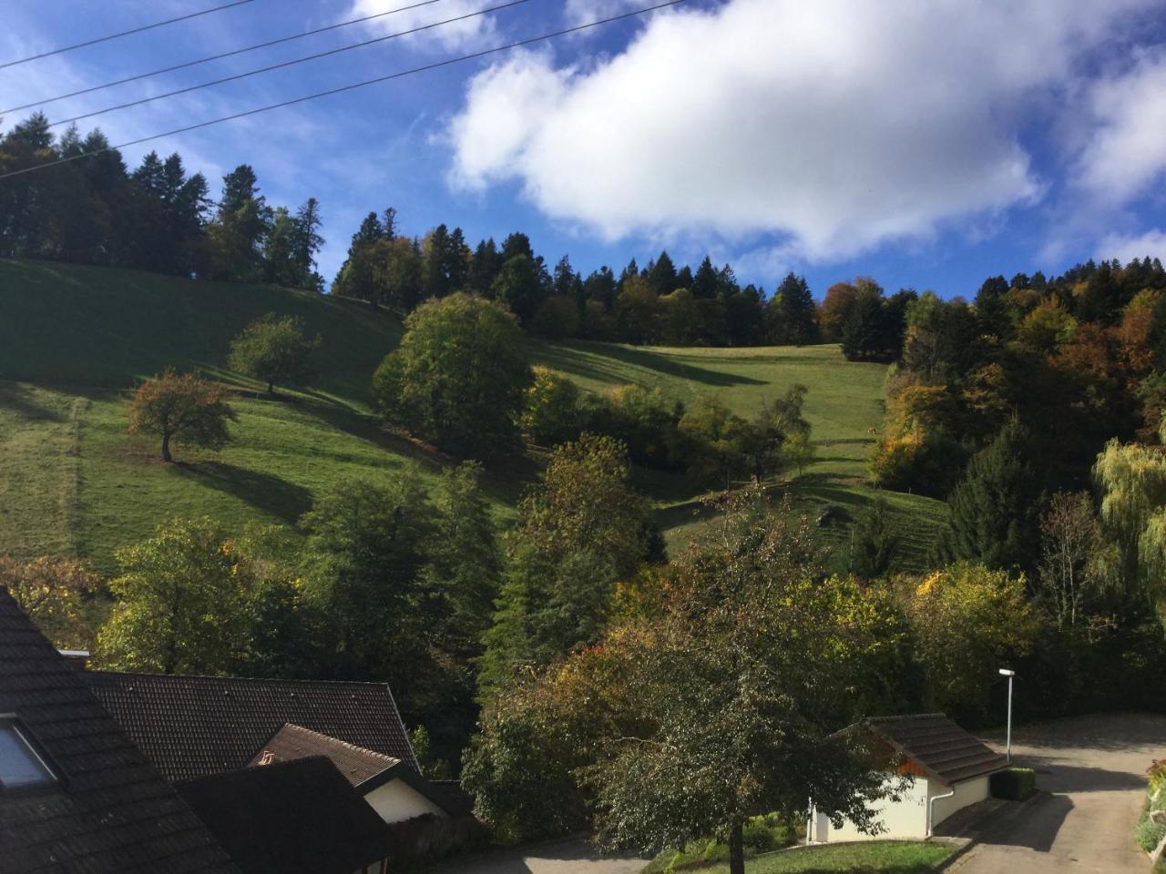 Erikas Haus Apartman Münstertal Kültér fotó
