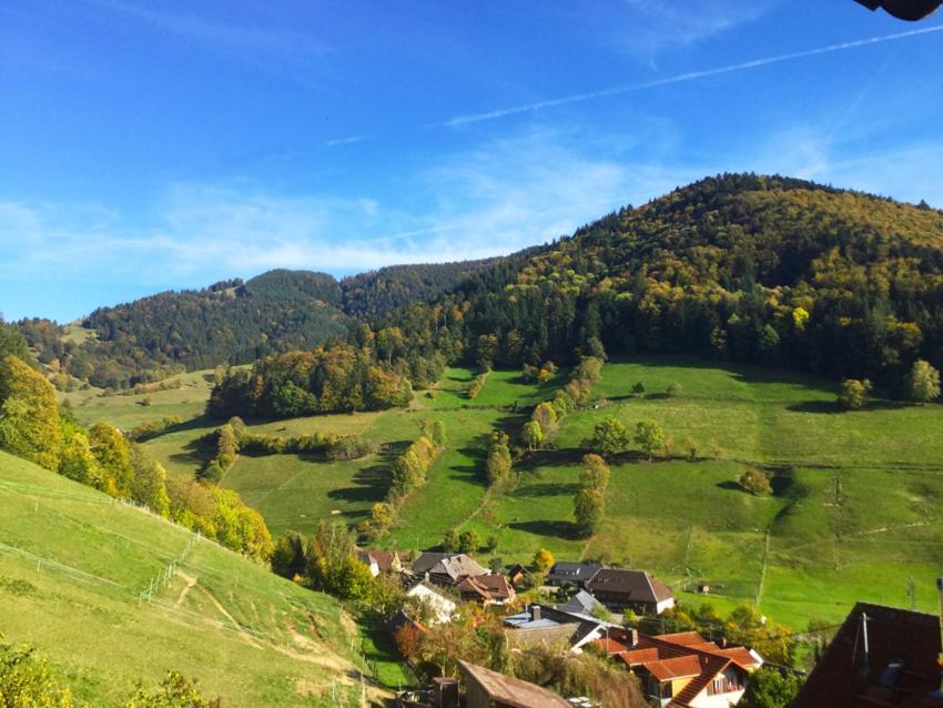 Erikas Haus Apartman Münstertal Kültér fotó