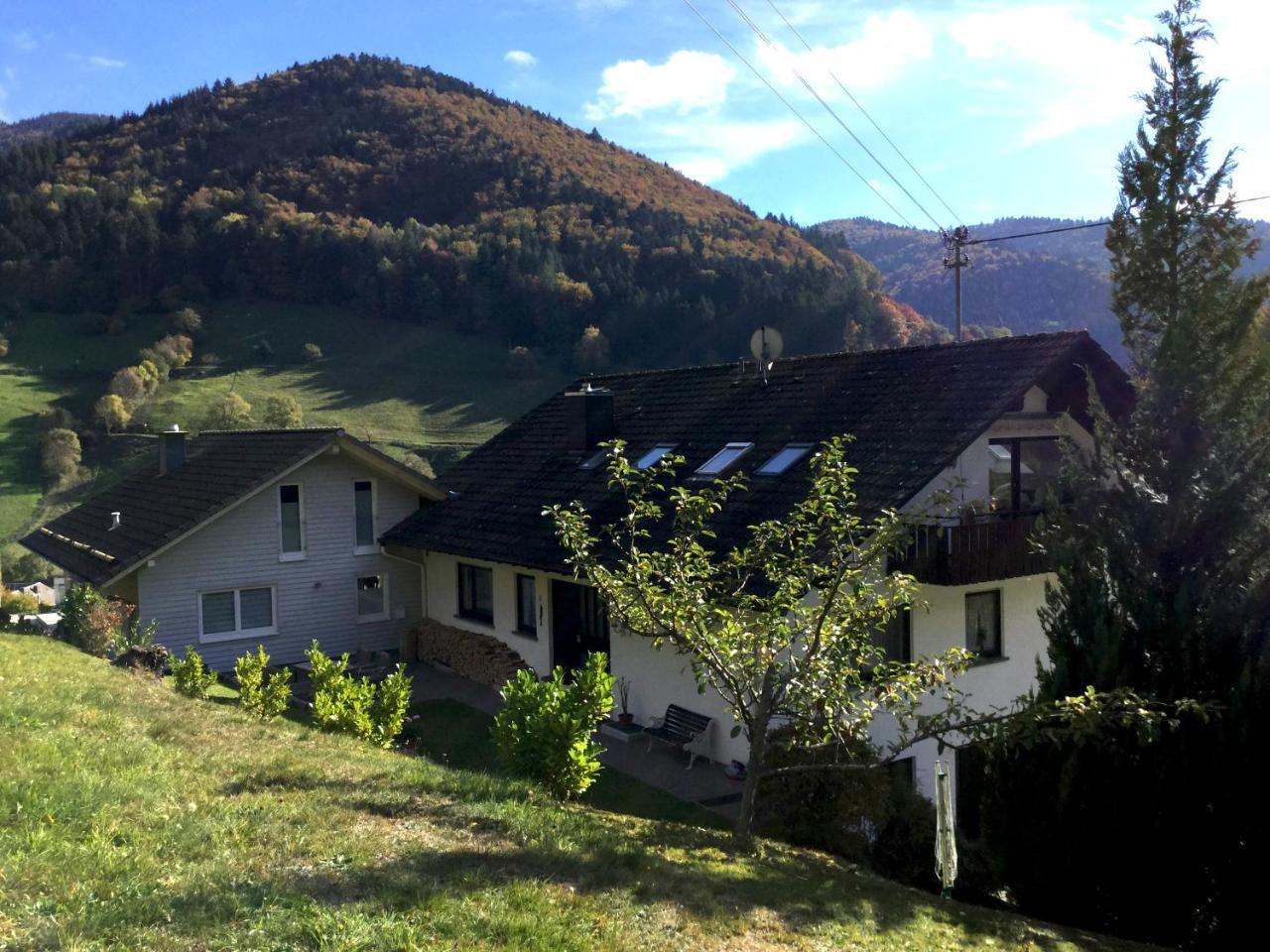 Erikas Haus Apartman Münstertal Kültér fotó