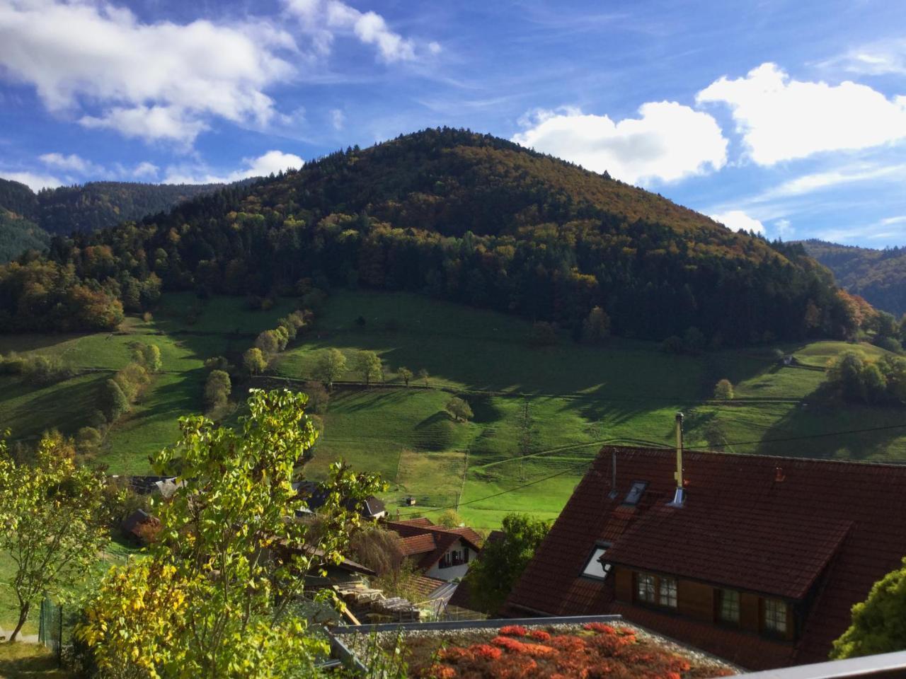 Erikas Haus Apartman Münstertal Kültér fotó