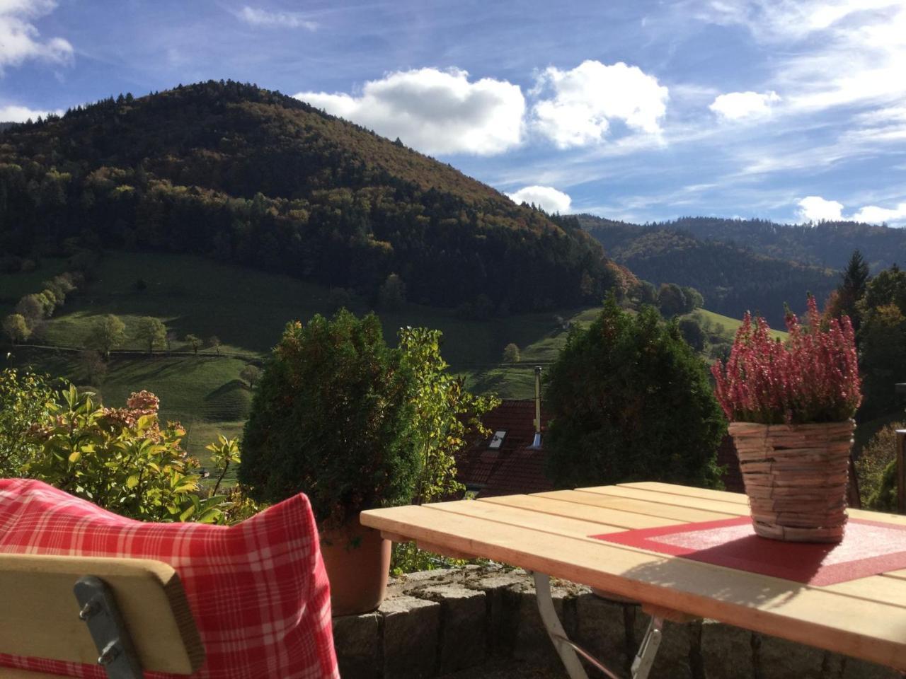 Erikas Haus Apartman Münstertal Kültér fotó